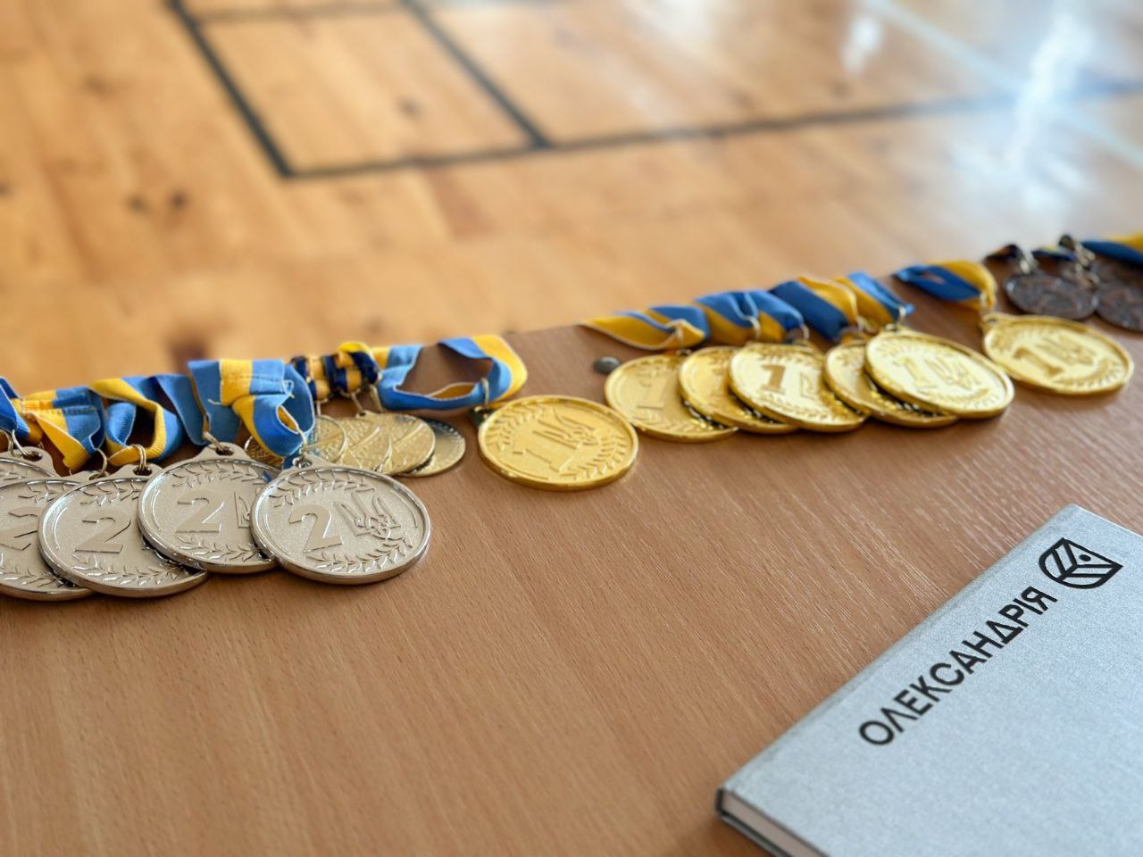 Відкриті змагання з бадмінтону в одиночній категорії